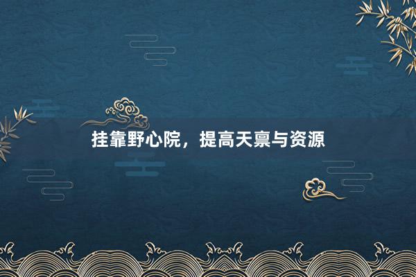 挂靠野心院，提高天禀与资源