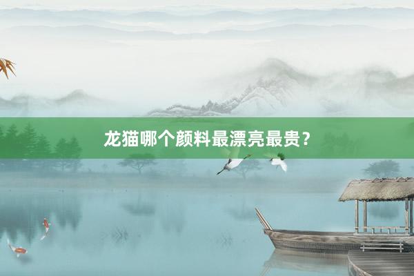 龙猫哪个颜料最漂亮最贵？